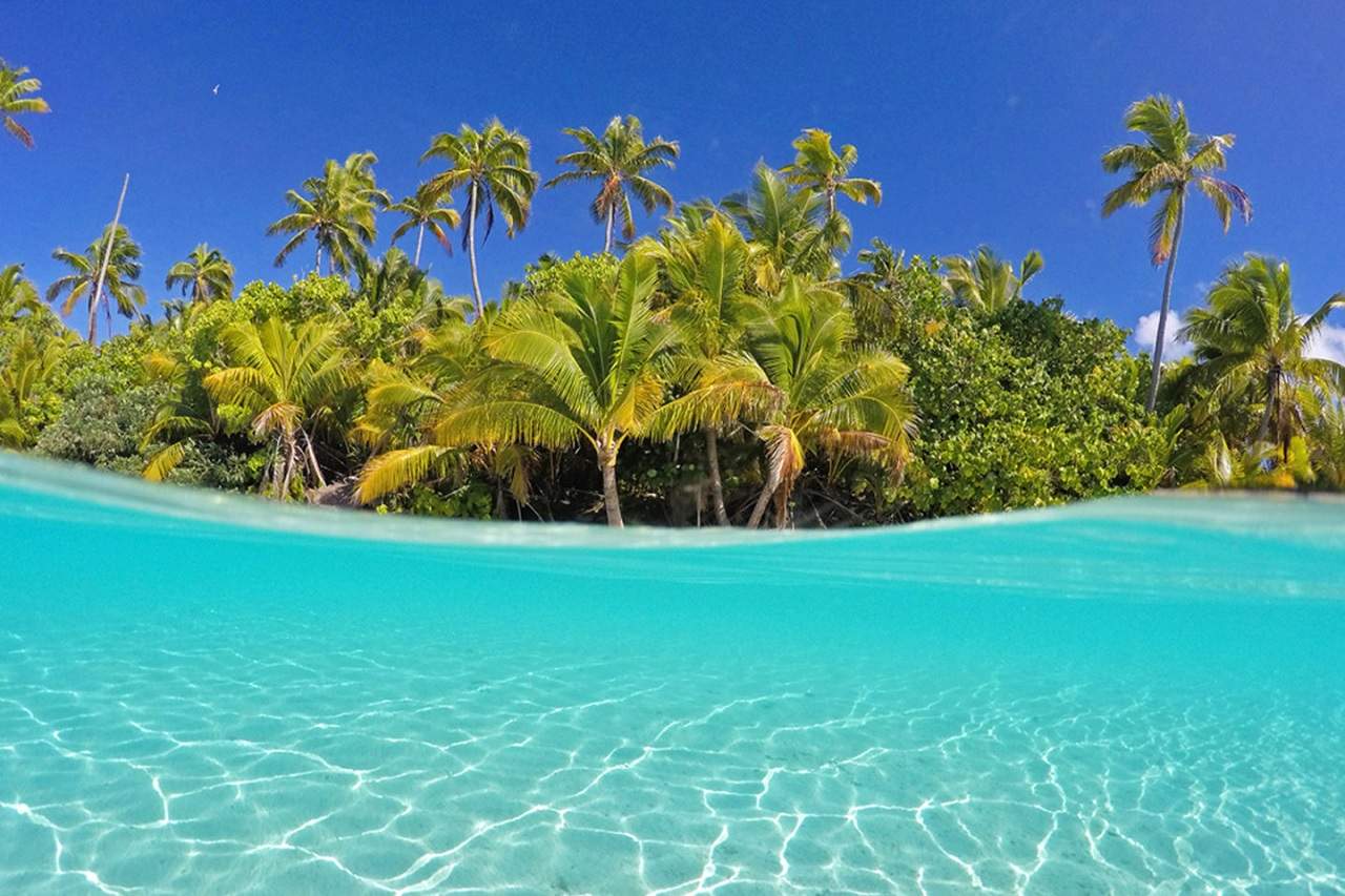 Bharti Holidays Image-1